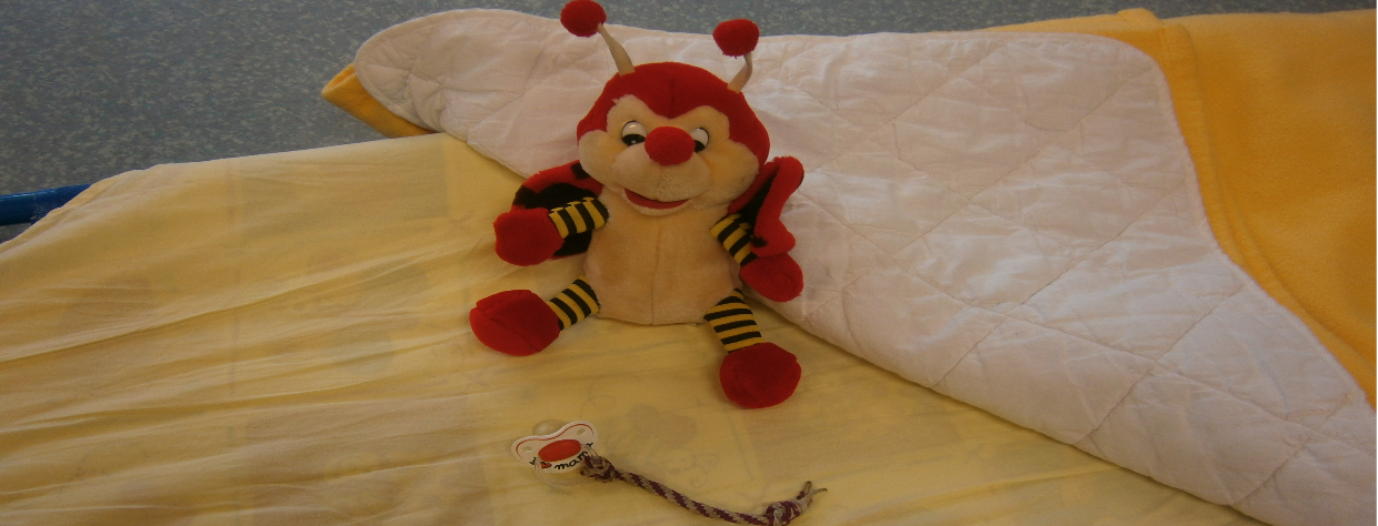 Lit avec tétine et peluche coccinelle