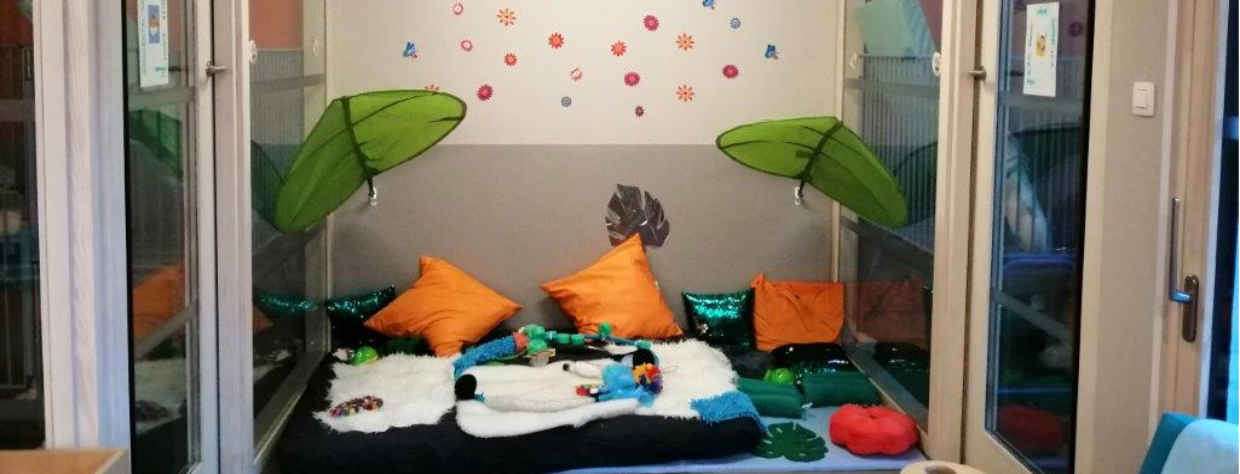 Coin cosy avec des couvertures et des coussins