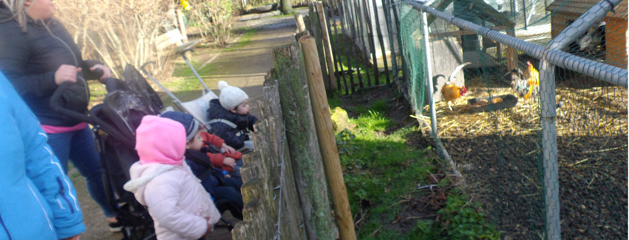 Un groupe d'enfants observe le poulailler