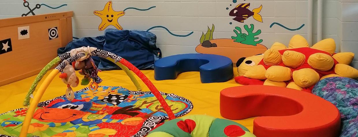 Tapis d'éveil, grande peluche hérisson , blocs en mousse sur un grand tapis